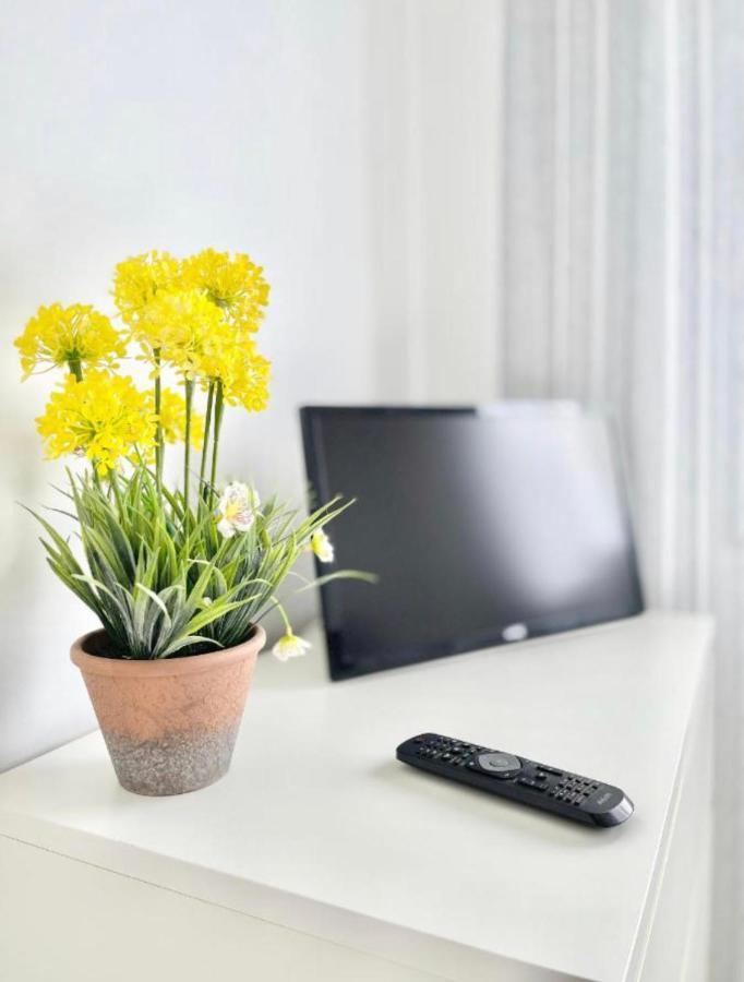 Apartsur بورموخوس المظهر الخارجي الصورة