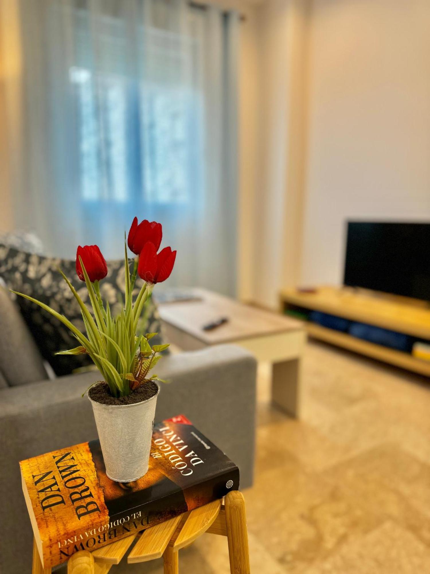 Apartsur بورموخوس المظهر الخارجي الصورة